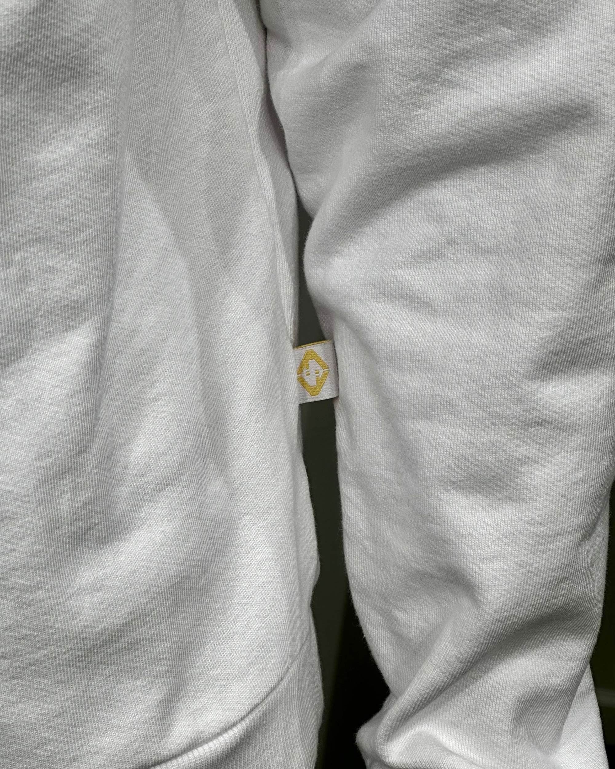 Chain Backplate Hoodie (Gold)
